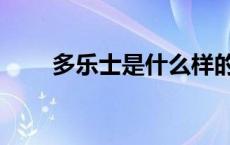 多乐士是什么样的（多乐士是什么）