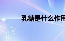 乳糖是什么作用（乳糖是什么）