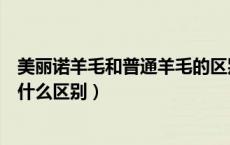 美丽诺羊毛和普通羊毛的区别的价格（美丽诺羊毛和羊毛有什么区别）
