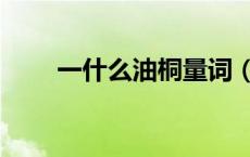 一什么油桐量词（油桐是什么意思）