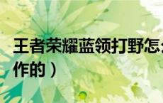 王者荣耀蓝领打野怎么打（蓝领打野是怎么操作的）