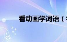 看动画学词语（学能组什么词语）