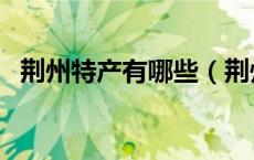 荆州特产有哪些（荆州特产有哪些可带走）