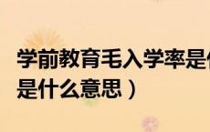学前教育毛入学率是什么（学前教育毛入学率是什么意思）