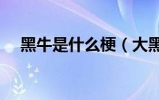 黑牛是什么梗（大黑牛是什么意思内涵）