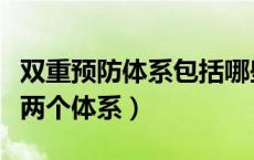 双重预防体系包括哪些（双重预防体系包括哪两个体系）