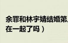 余罪和林宇婧结婚第几章（余罪和林宇婧结局在一起了吗）