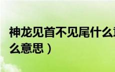 神龙见首不见尾什么意思（神龙见首不见尾什么意思）