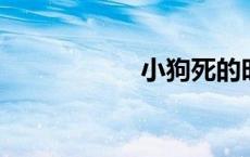 小狗死的时候闭眼吗
