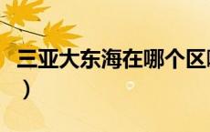 三亚大东海在哪个区啊（大东海是三亚哪个区）