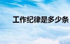 工作纪律是多少条（工作纪律是什么）