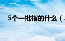 5个一批指的什么（5个一批是什么意思）
