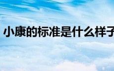小康的标准是什么样子（小康的标准是什么）