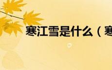 寒江雪是什么（寒江雪是什么意思）