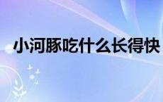 小河豚吃什么长得快（小河豚吃什么食物）
