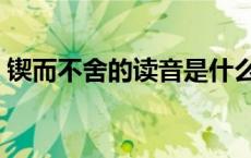 锲而不舍的读音是什么（锲而不舍的下一句）