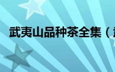 武夷山品种茶全集（武夷山品种茶有哪些）