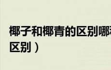 椰子和椰青的区别哪种价格高（椰子和椰青的区别）