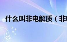什么叫非电解质（非电解质的概念是什么）