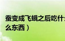 蚕变成飞蛾之后吃什么（蚕变成飞蛾之后吃什么东西）