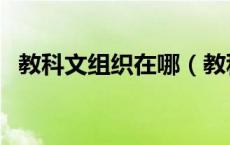教科文组织在哪（教科文组织是干什么的）