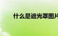 什么是遮光罩图片（什么是遮光罩）
