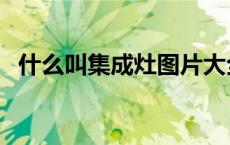 什么叫集成灶图片大全（什么叫集客营销）