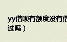 yy借呗有额度没有借款选项（yy借呗审核好过吗）
