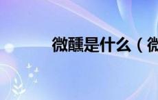 微醺是什么（微醺是什么状态）