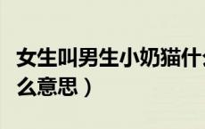 女生叫男生小奶猫什么意思（叫女生小奶猫什么意思）