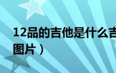 12品的吉他是什么吉他（吉他12品格怎么分图片）