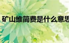 矿山维简费是什么意思（维简费是什么意思）