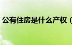 公有住房是什么产权（公有住房是什么意思）