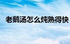 老鹅汤怎么炖熟得快（老鹅汤怎么炖好喝）