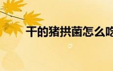 干的猪拱菌怎么吃（猪拱菌怎么吃）
