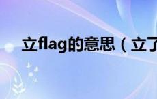 立flag的意思（立了个flag是什么意思）