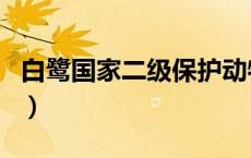 白鹭国家二级保护动物（白鹭是不是保护动物）