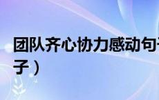 团队齐心协力感动句子（一群人一起努力的句子）