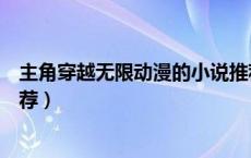 主角穿越无限动漫的小说推荐（关于无限动漫穿越小说的推荐）