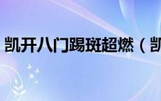 凯开八门踢斑超燃（凯开八门踢斑是第几集）