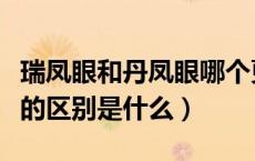 瑞凤眼和丹凤眼哪个更好看（瑞凤眼和丹凤眼的区别是什么）