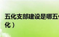 五化支部建设是哪五化（五化支部建设是哪五化）