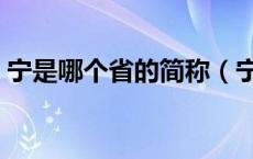 宁是哪个省的简称（宁车牌是哪个省的简称）