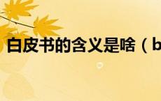 白皮书的含义是啥（bps的含义是什么每秒）
