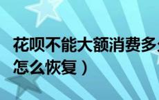 花呗不能大额消费多久能恢复（花呗不能用了怎么恢复）
