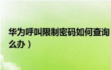 华为呼叫限制密码如何查询（华为手机呼叫限制密码忘了怎么办）