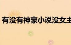 有没有神豪小说没女主的（有没有神豪小说）