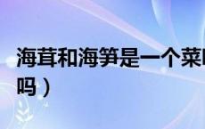 海茸和海笋是一个菜吗（海笋和海茸是一回事吗）