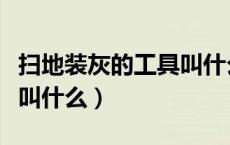 扫地装灰的工具叫什么名字（扫地装灰的工具叫什么）