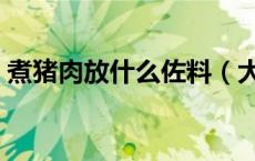 煮猪肉放什么佐料（大量煮猪肉放什么调料）